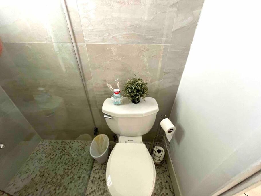 Private Room In The Heart Of Calle Ocho Miami Dış mekan fotoğraf